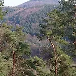 Апартаменты Haus Angermann