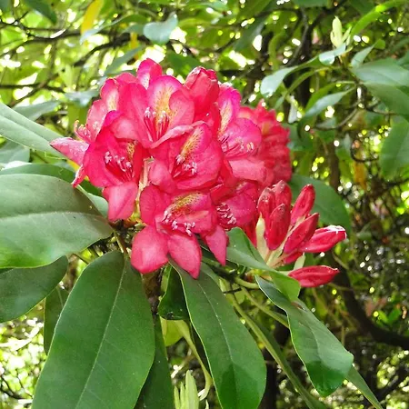 Haus Angermann Apartman