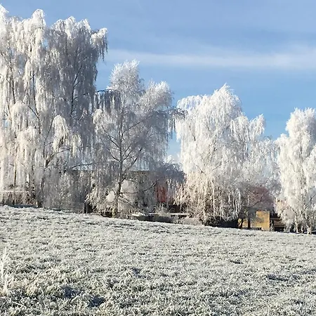 Apartman Haus Angermann *