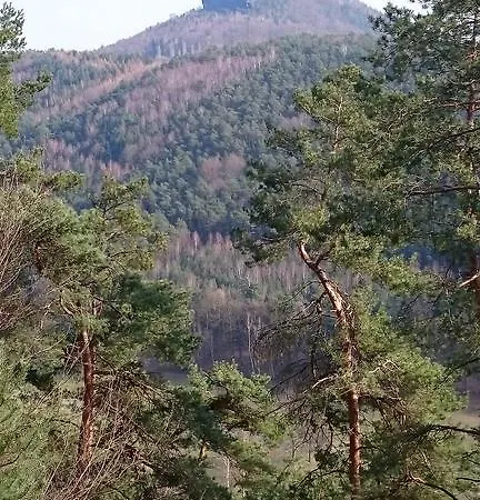 Apartman Haus Angermann