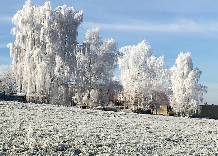 Apartment Haus Angermann *