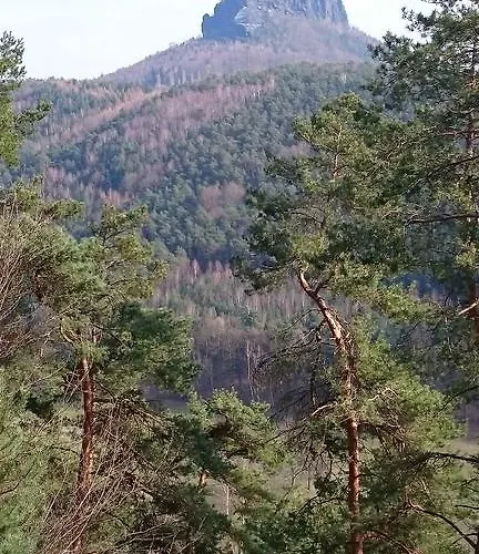 Apartment Haus Angermann